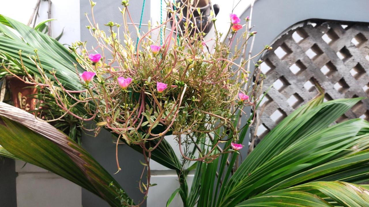 Homestay Nha Muoi Quy Nhon Exterior photo